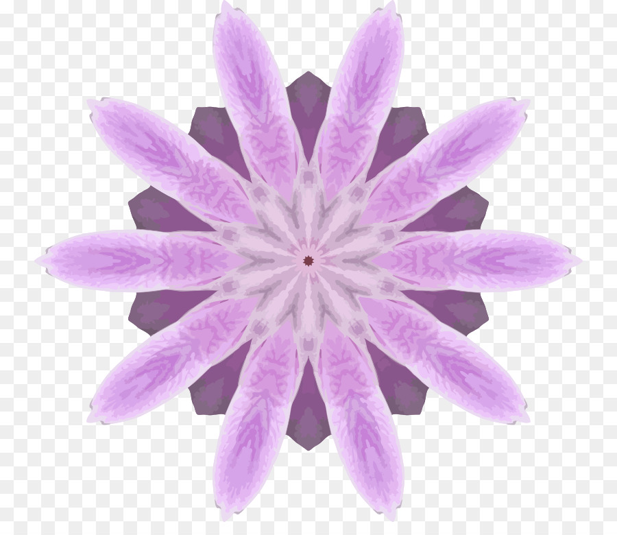 Las Orquídeas，Vidrio PNG