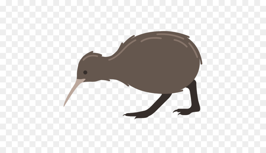 Pájaro Kiwi，Pájaro PNG