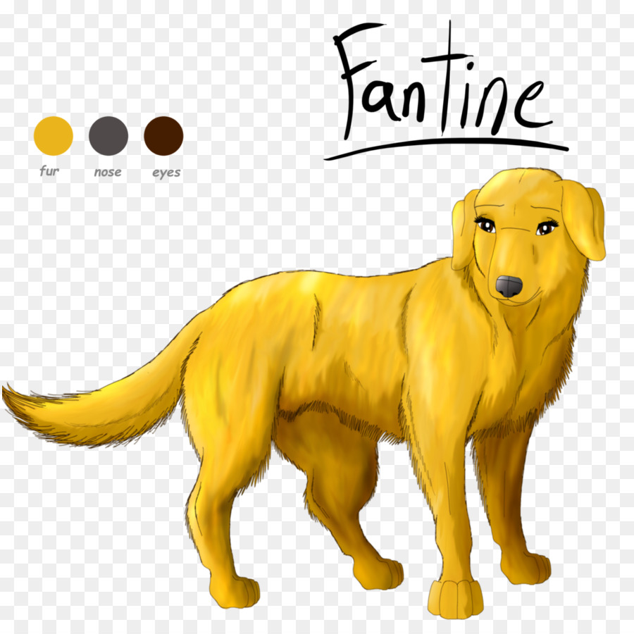 Golden Retriever，Labrador Retriever PNG