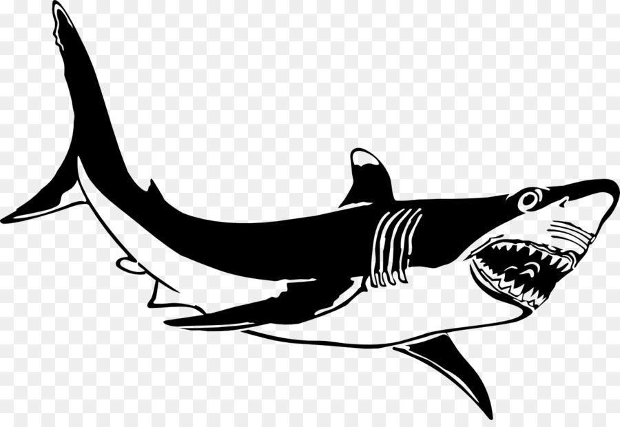 Tiburón，Camiseta PNG