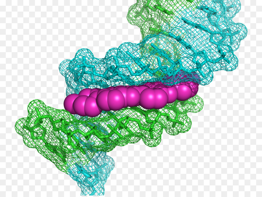 Adn Colorido，Genética PNG