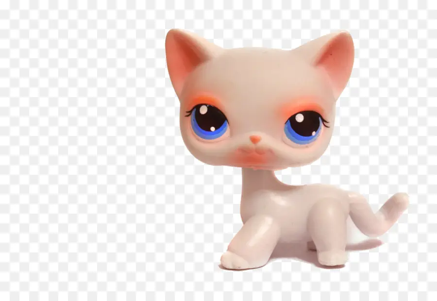 Gato，Mascota PNG