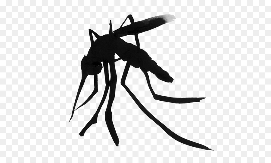 Mosquito，Silueta PNG