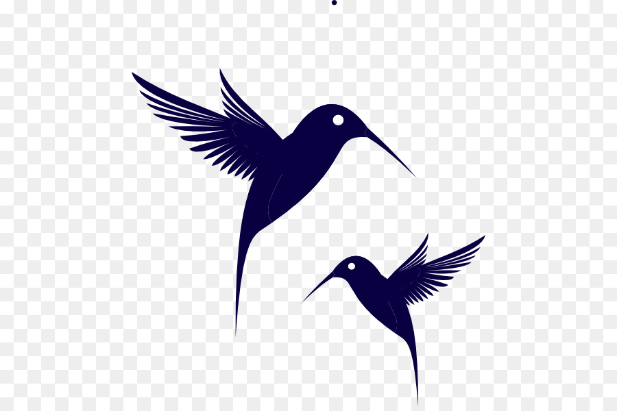 Colibríes，Vuelo PNG