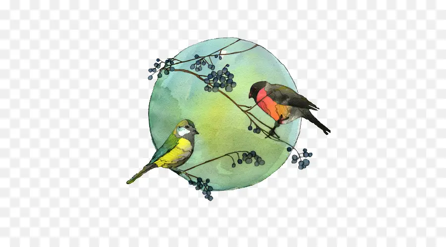 Pájaro，Nuestro Invierno Las Aves PNG