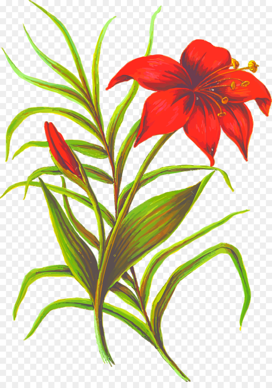 Flor，Silueta PNG