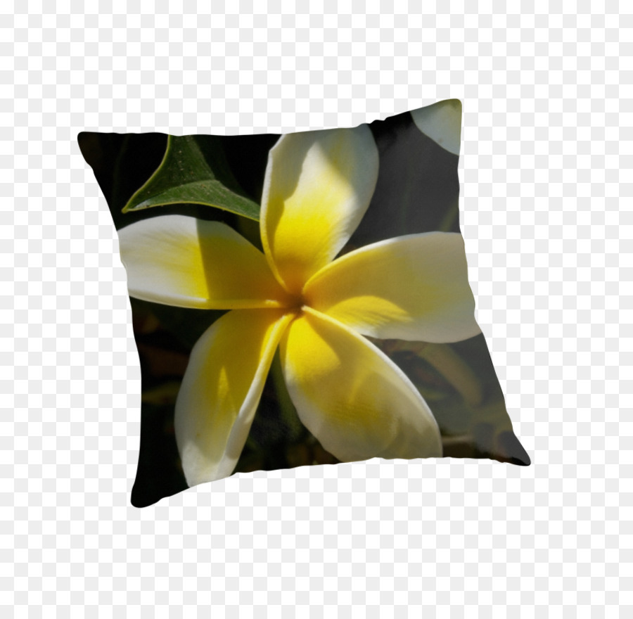 Almohadas，Cojín PNG