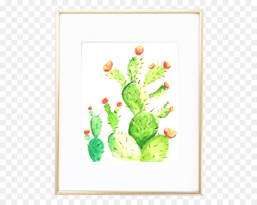 Cactaceae，Impresión PNG