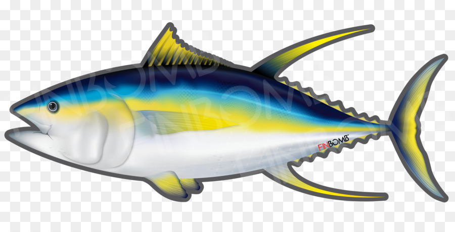 Thunnus，Los Peces PNG