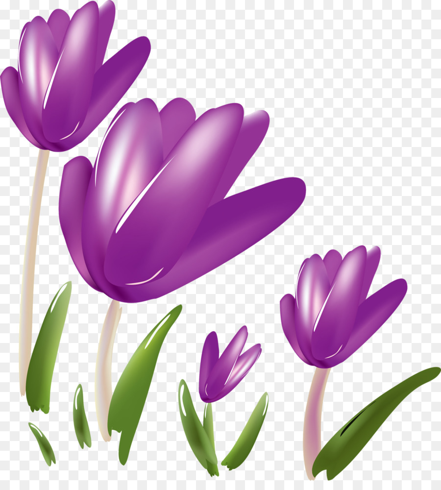 Flores Moradas，Florecer PNG