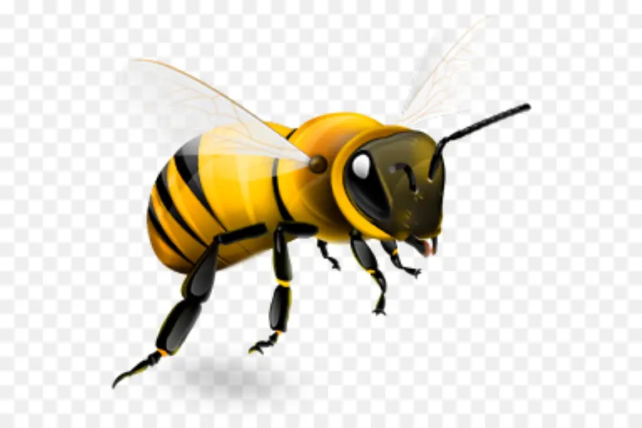 Abeja，Miel PNG