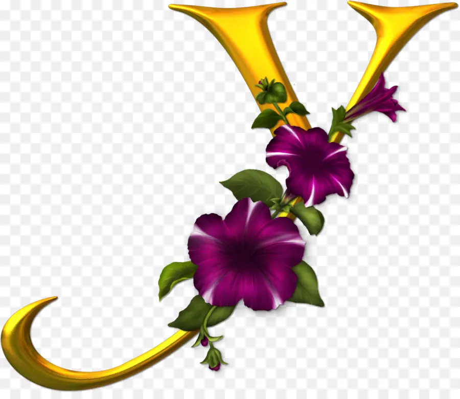 Flor，Carta PNG