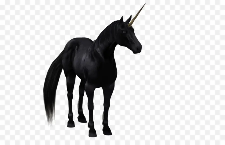 Negro Unicornio，Caballo PNG