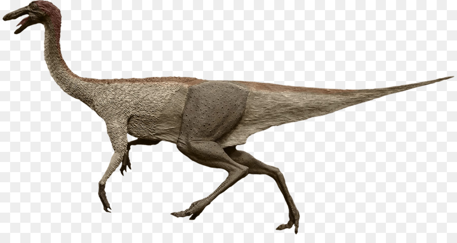 Gallimimus，Moab PNG
