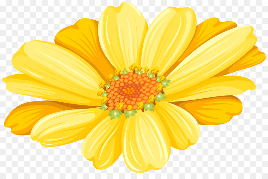 Flor，Puntos Por Pulgada PNG