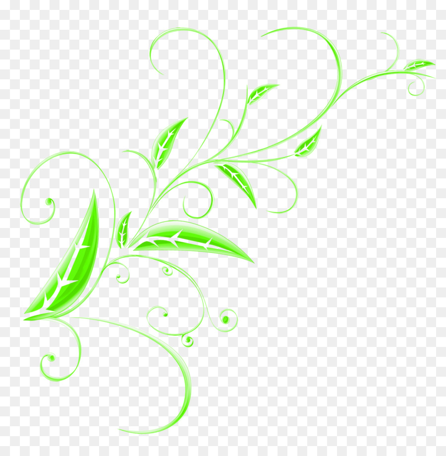 Planta Abstracta，Hojas PNG