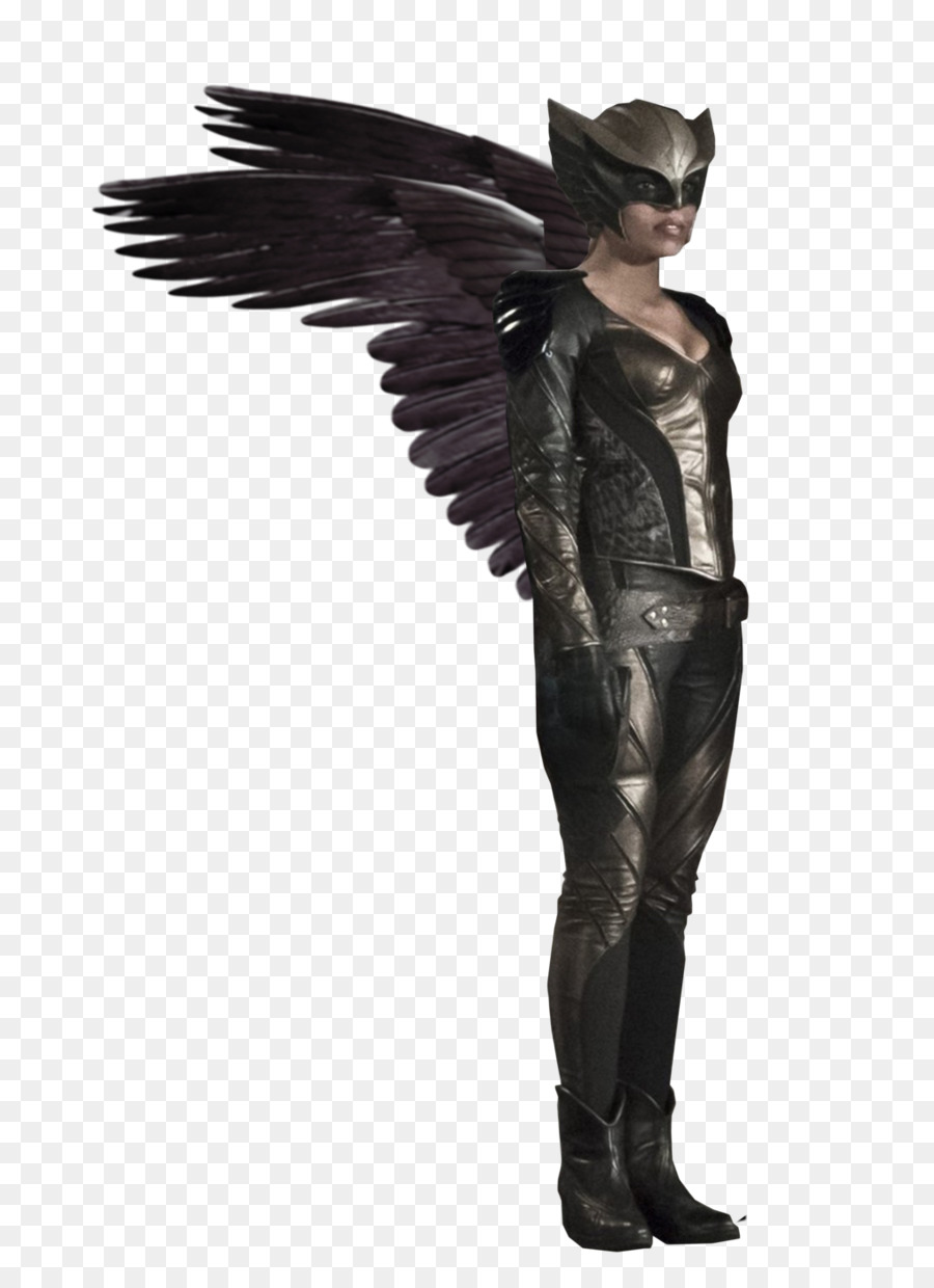 Hawkgirl，Hawkman PNG