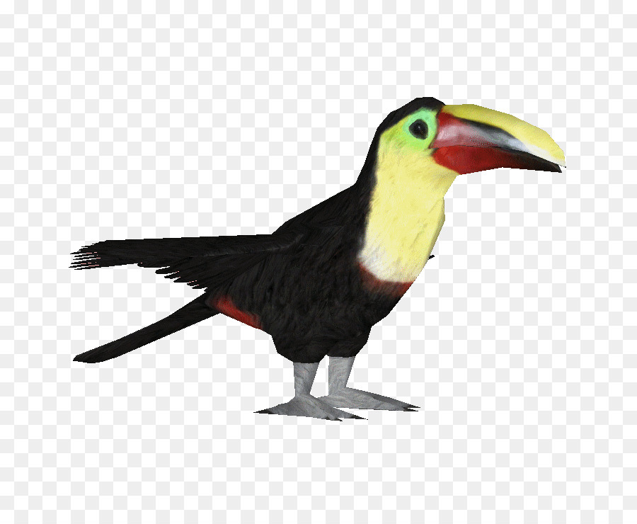 Pájaro，Ramphastos PNG