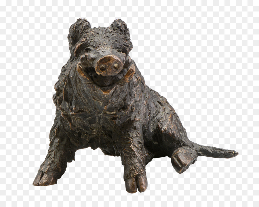 Sentado Jabalí，Wild Boar PNG