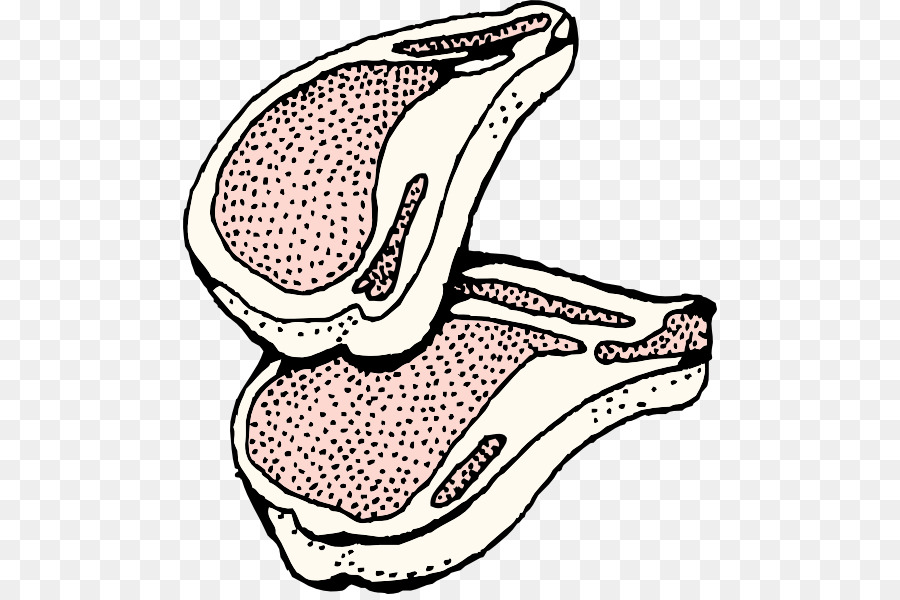 Cerdo Doméstico，La Carne De Cerdo PNG