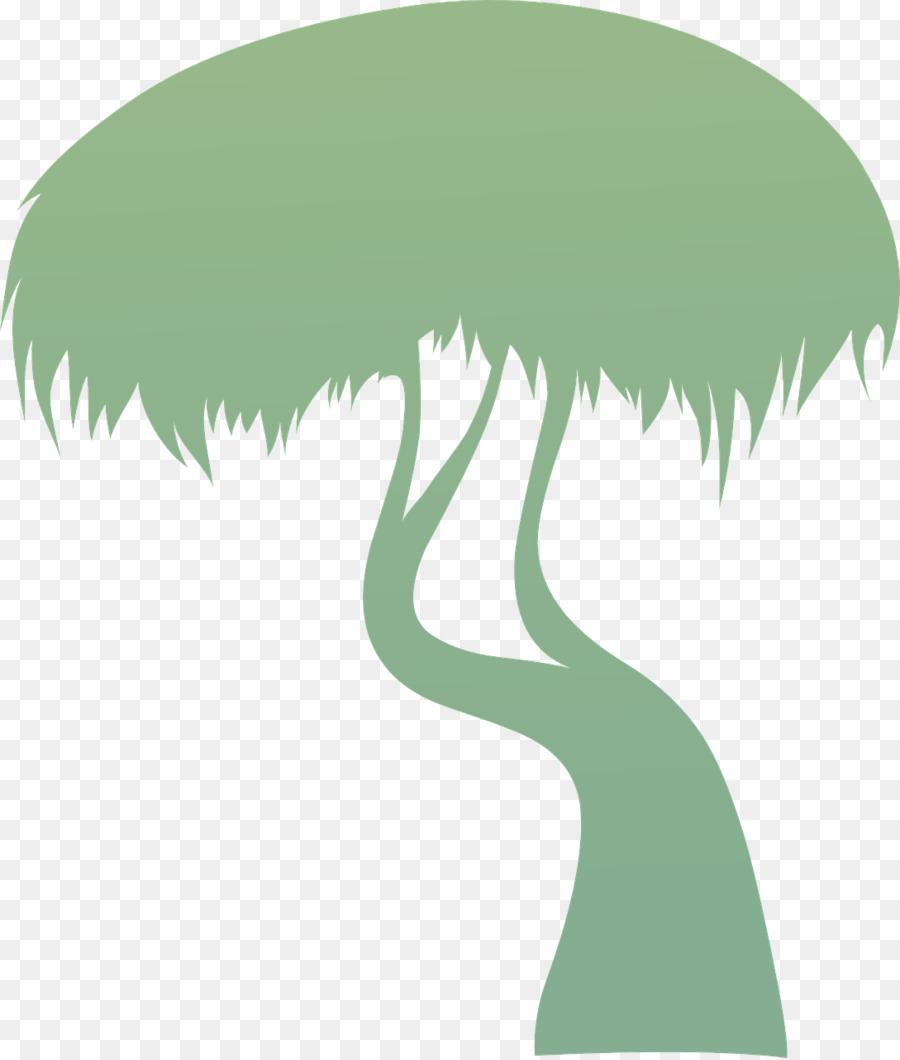 Árbol，Planta PNG