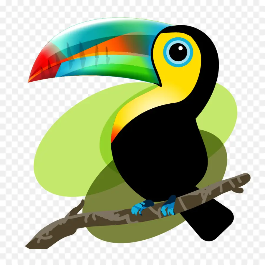 Iquitos，Pájaro PNG