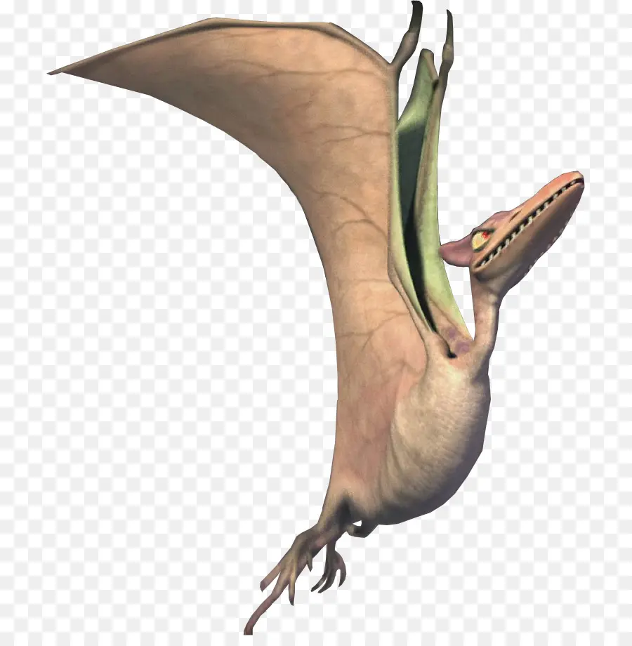 Pteranodon，Harpactognathus PNG