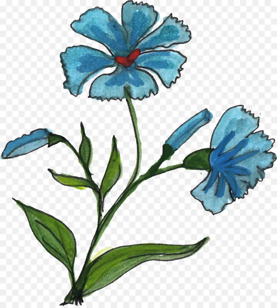 Flores Azules，Floral PNG