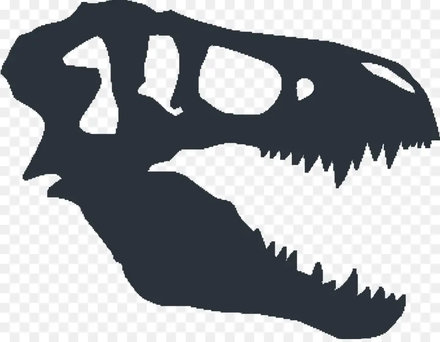 Tyrannosaurus，Fósiles De Dinosaurio PNG