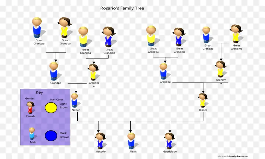 Árbol Genealógico，Genealogía PNG