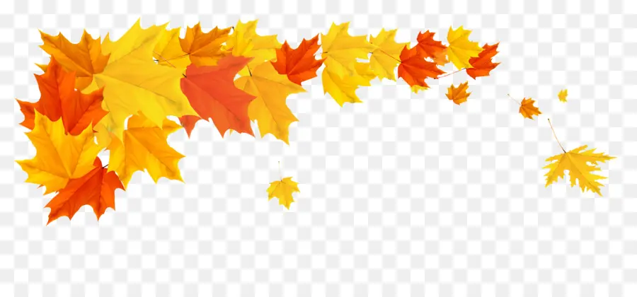 Otoño，Fondo De Escritorio PNG