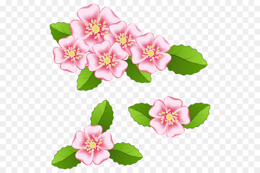 Flor，Fondo De Escritorio PNG