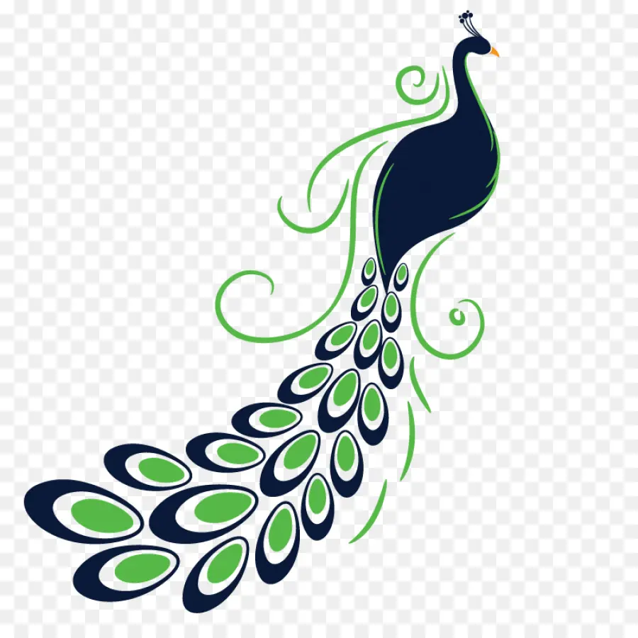 Pluma，Pavo Real PNG