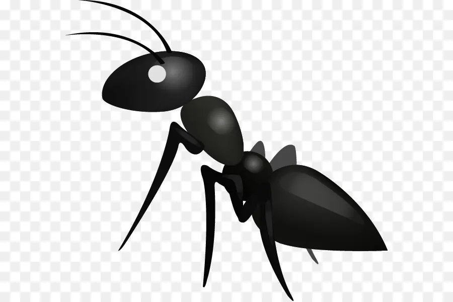 Ant，Emoji PNG