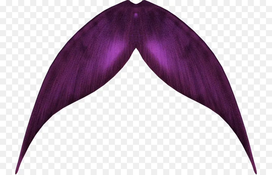 Bigote Morado，Púrpura PNG