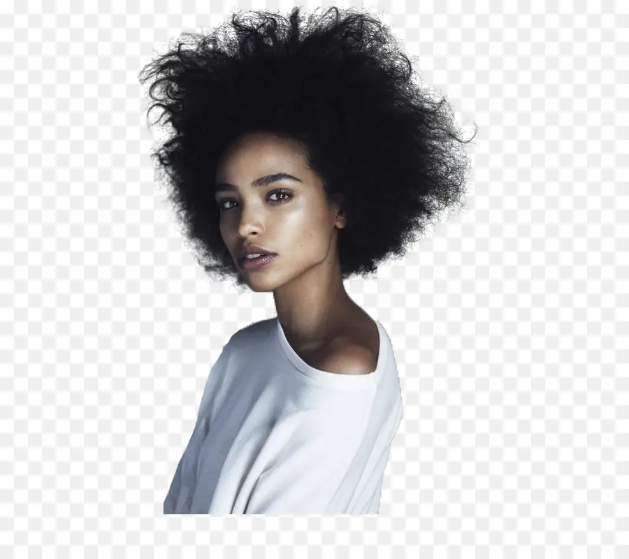 Afro，Negro PNG