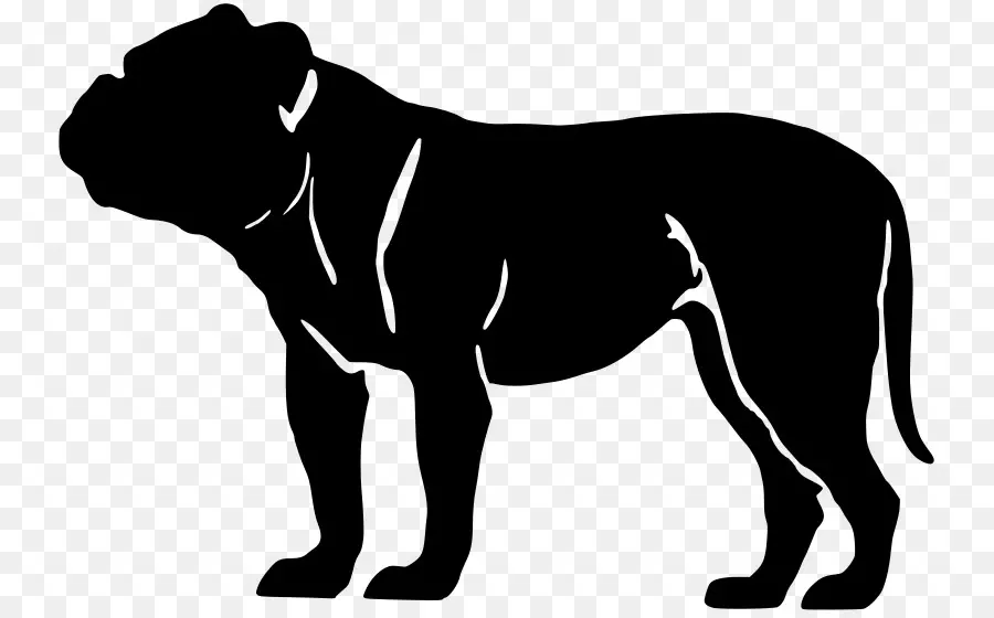 Bulldog，American Bully PNG