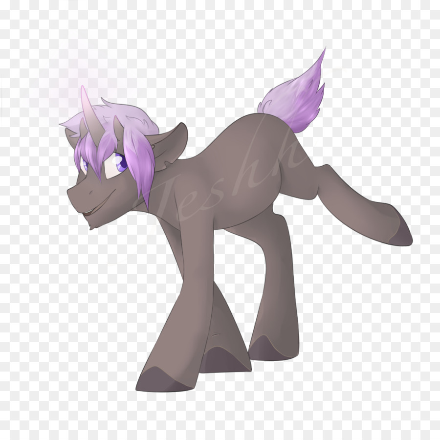 Caballo，Pony PNG