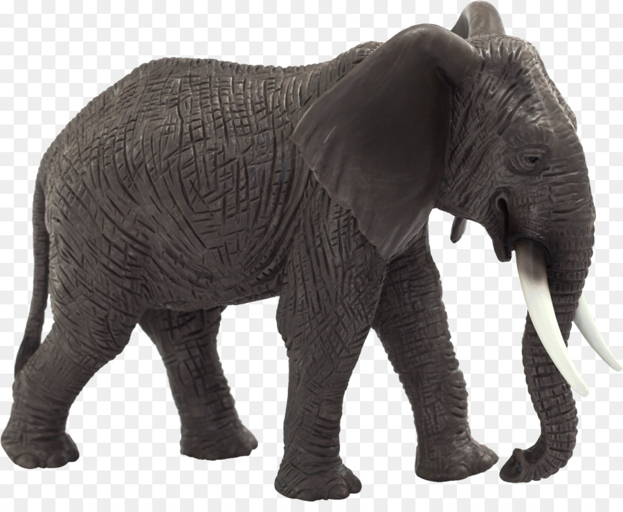 El Elefante Africano，Amazoncom PNG