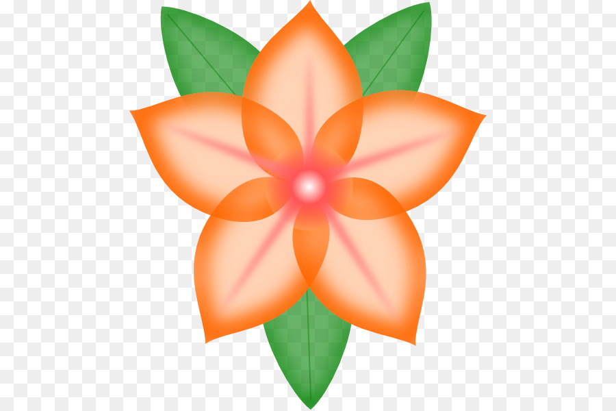 Flor De Naranja，Florecer PNG