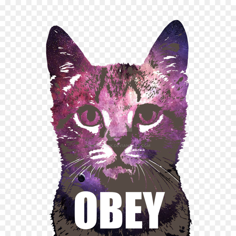 Gato，Camiseta PNG