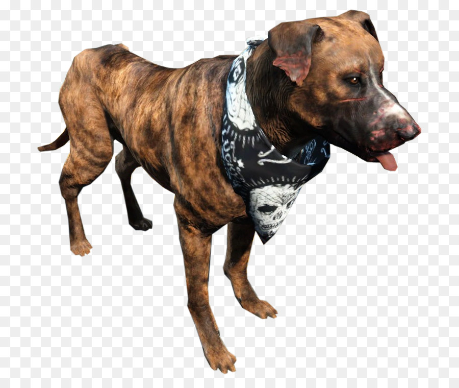 American Pit Bull Terrier，Fallout 4 PNG