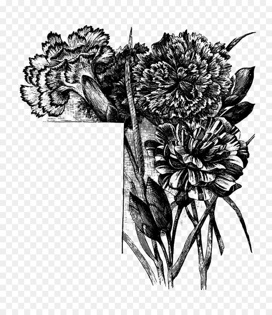 Flores En Blanco Y Negro，Flores PNG