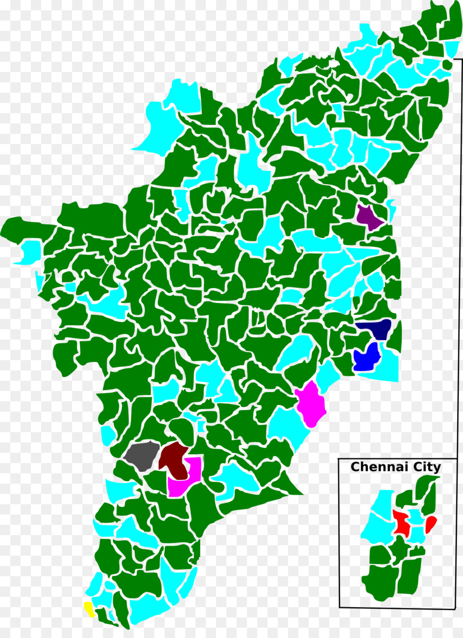Tamil Nadu，Tamil Nadu En La Asamblea Legislativa De Las Elecciones De 1991 PNG