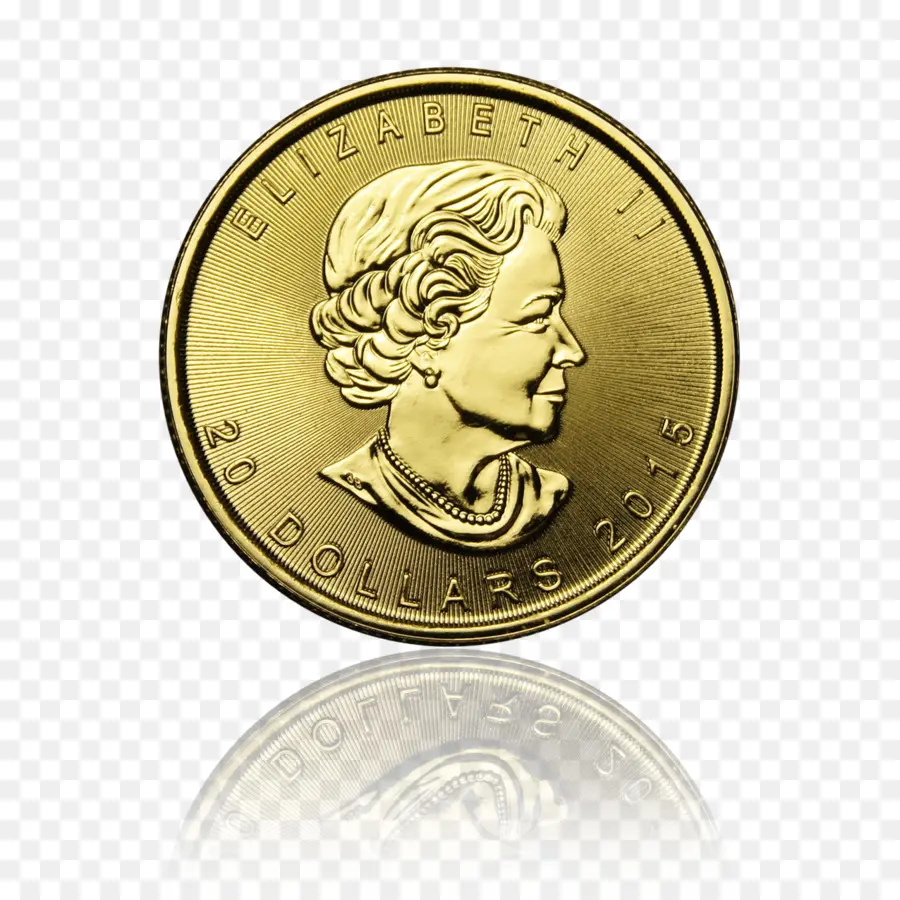 Moneda，Oro PNG