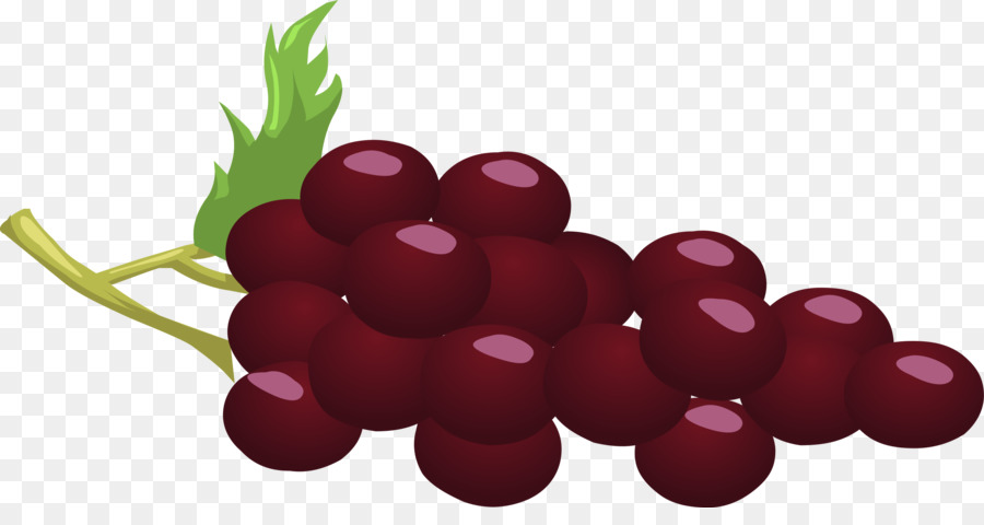 Uvas，Enredadera PNG