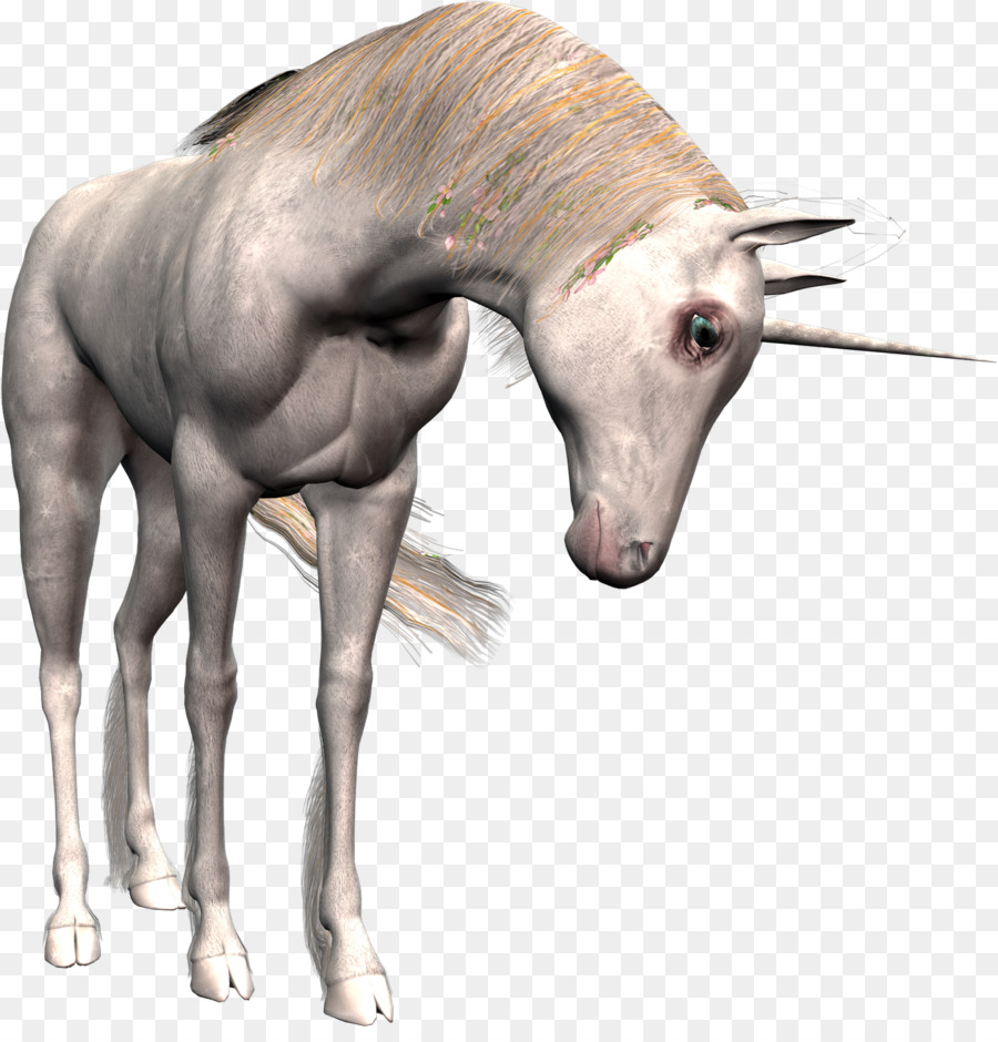 Caballo，Unicornio PNG