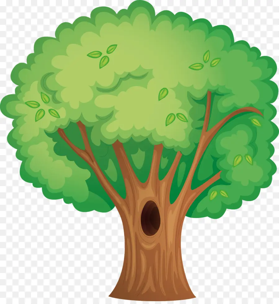árbol，árbol Hueco PNG