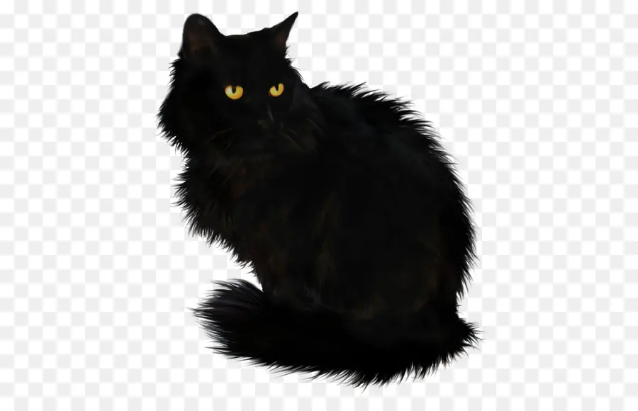 Gato，Gato Negro PNG