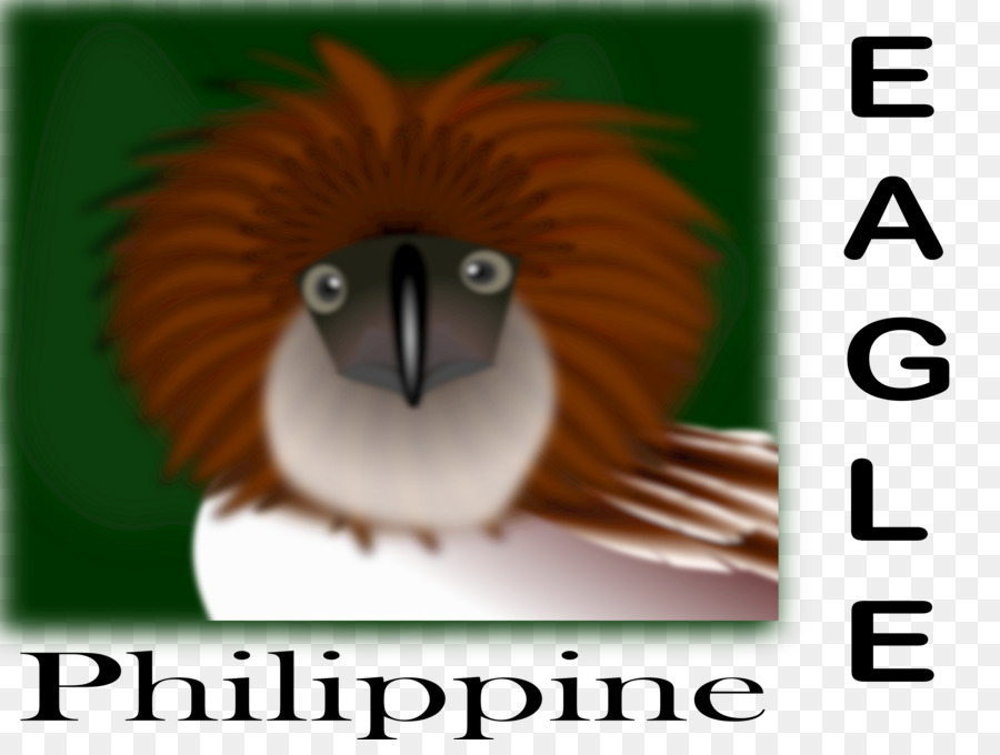 Filipinas，Águila Calva PNG